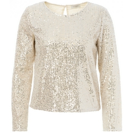 Overview image: JcSophie top Annalie zilver